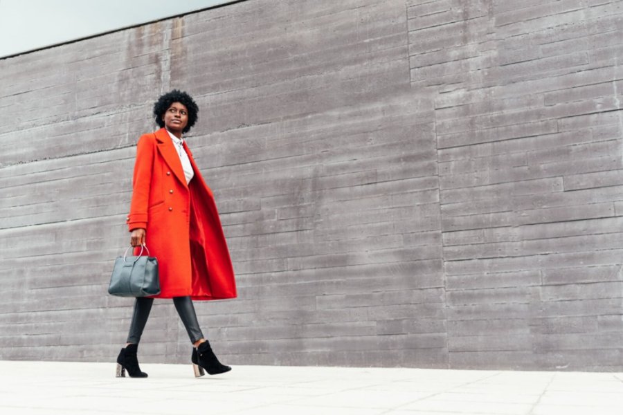 Aritzia Fast Fashion