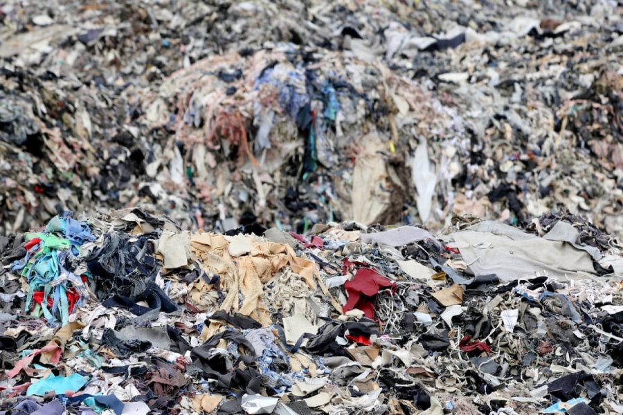 Fast Fashion Analyzing the Brand's Environmental Impact
