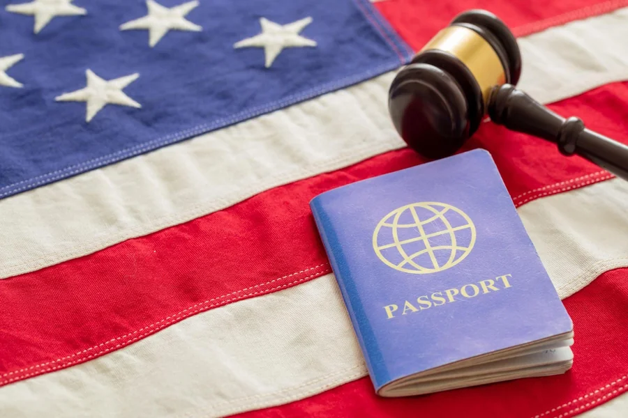 Immigration Lawyer