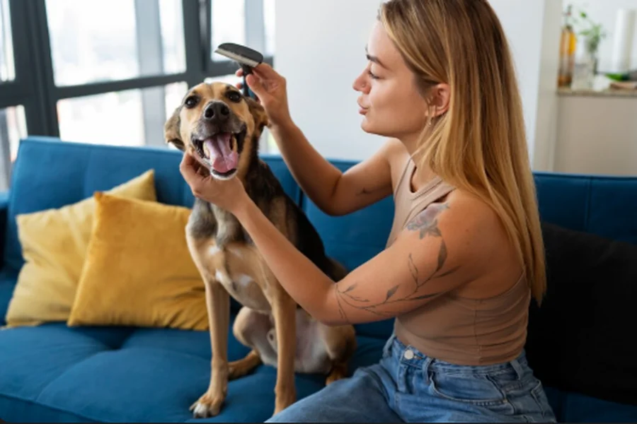 Grooming Mistakes