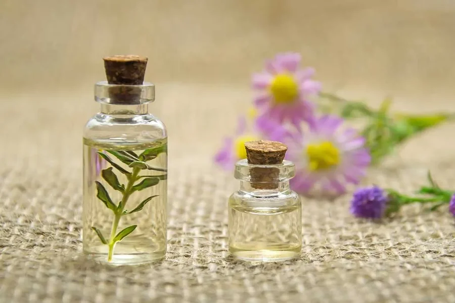 Oils vs. Synthetic